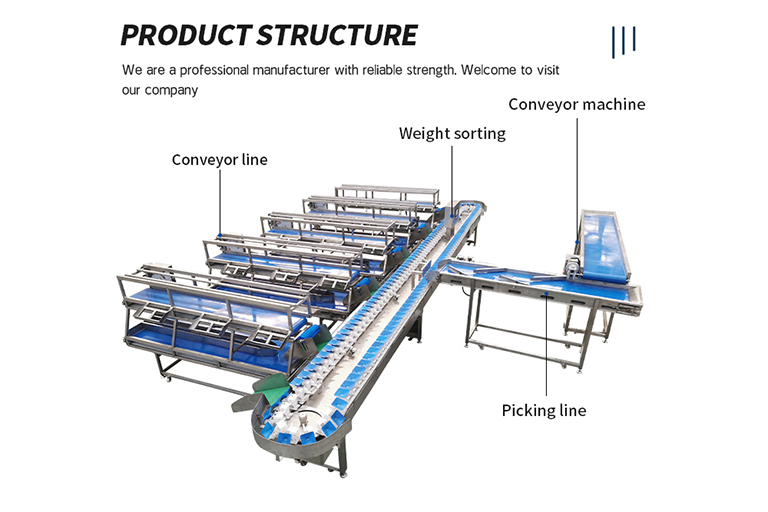https://www.weshinegroup.com/wp-content/uploads/2025/04/sorting-and-weighting-machine-777.jpg