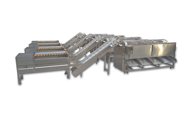 https://www.weshinegroup.com/wp-content/uploads/2025/04/sorting-machine-1.jpg