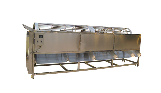 https://www.weshinegroup.com/wp-content/uploads/2025/04/sorting-machine-3.jpg