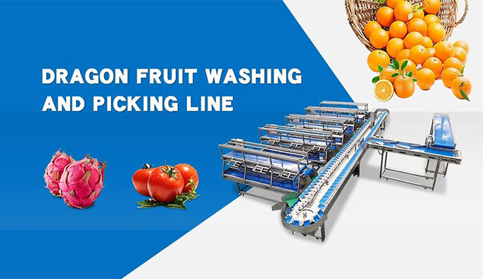 https://www.weshinegroup.com/wp-content/uploads/2025/04/weight-and-sorting-machine-1.jpg