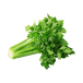 1126