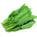 1128