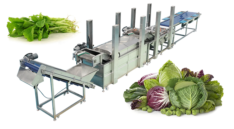 A "Clean Vegetable Processing Series" is an integrated, automated system designed to wash, trim, cut, dewater, and package vegetables for commercial use, ensuring hygiene and quality from raw produce to finished product. Key components often include washing tanks, conveyors, cutting machines, dewatering/drying equipment, and sorting systems.